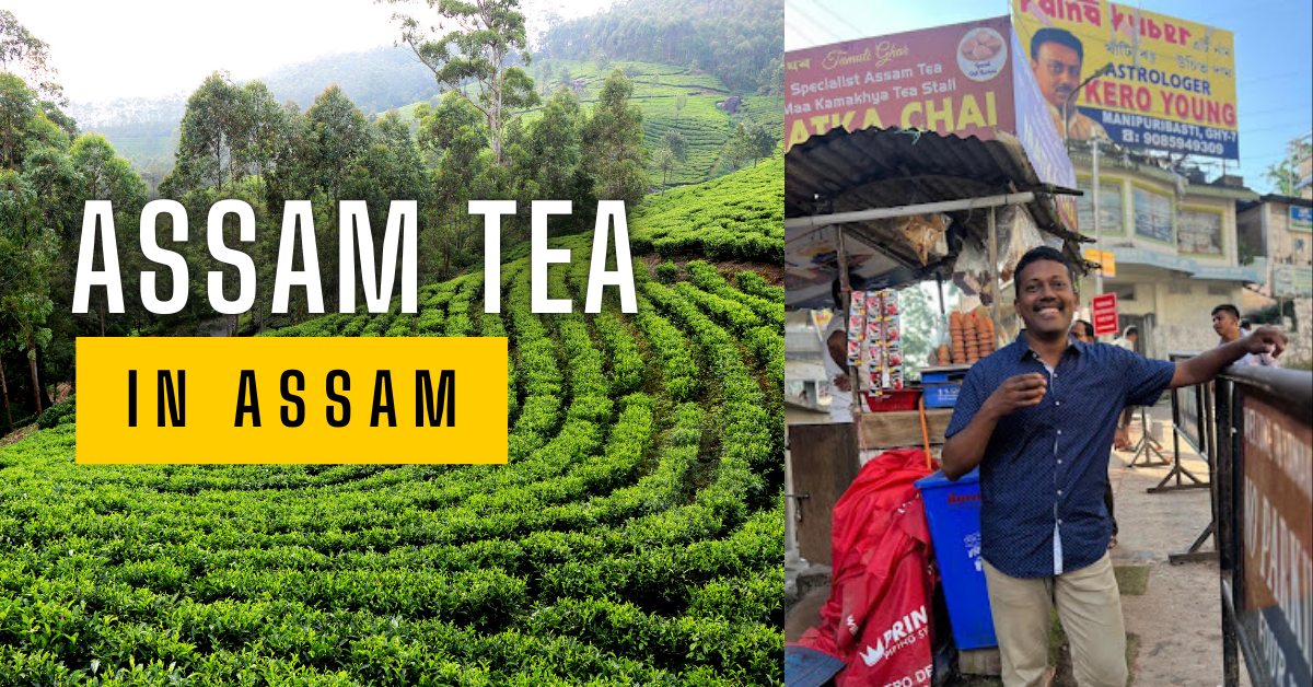 Assam Tea in Assam